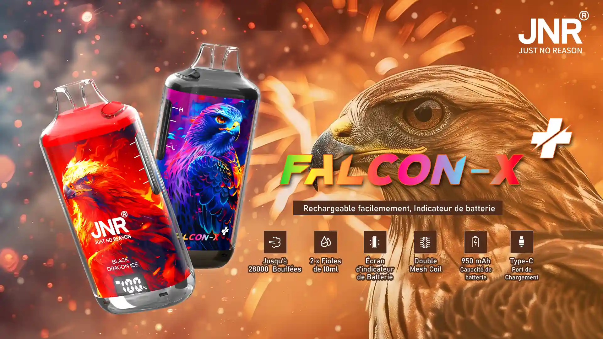 FALCON X 01